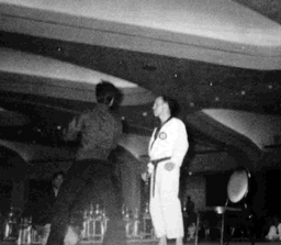 Ernie and Bruce Lee Demo