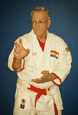 Mike Sullenger - Chief Instructor Emeritus